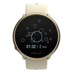 Polar Ignite 2 White Gold -Work Out pa 90085185 005