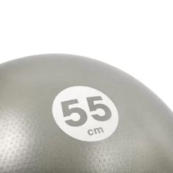 Reebok Stability Gymball 55 Cm Grey -Work Out re rab 40015bk 005
