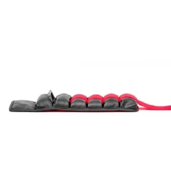 Reebok Premium 2.0 Kg Wrist Ankle Supports Black Red -Work Out re rawt 11313 003