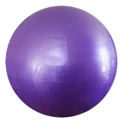 Softee Giant Ball 65 Cm Violet
