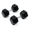 Evergy Fitness Hexagonal Dumbbells 1 Kg (pair)