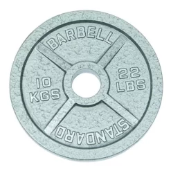 Trendingfit Standard Cast Iron Plate 10 Kg Grey